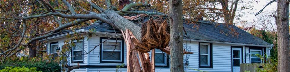 Cover Image for Property Damage Insurance Claims Process: What To Expect